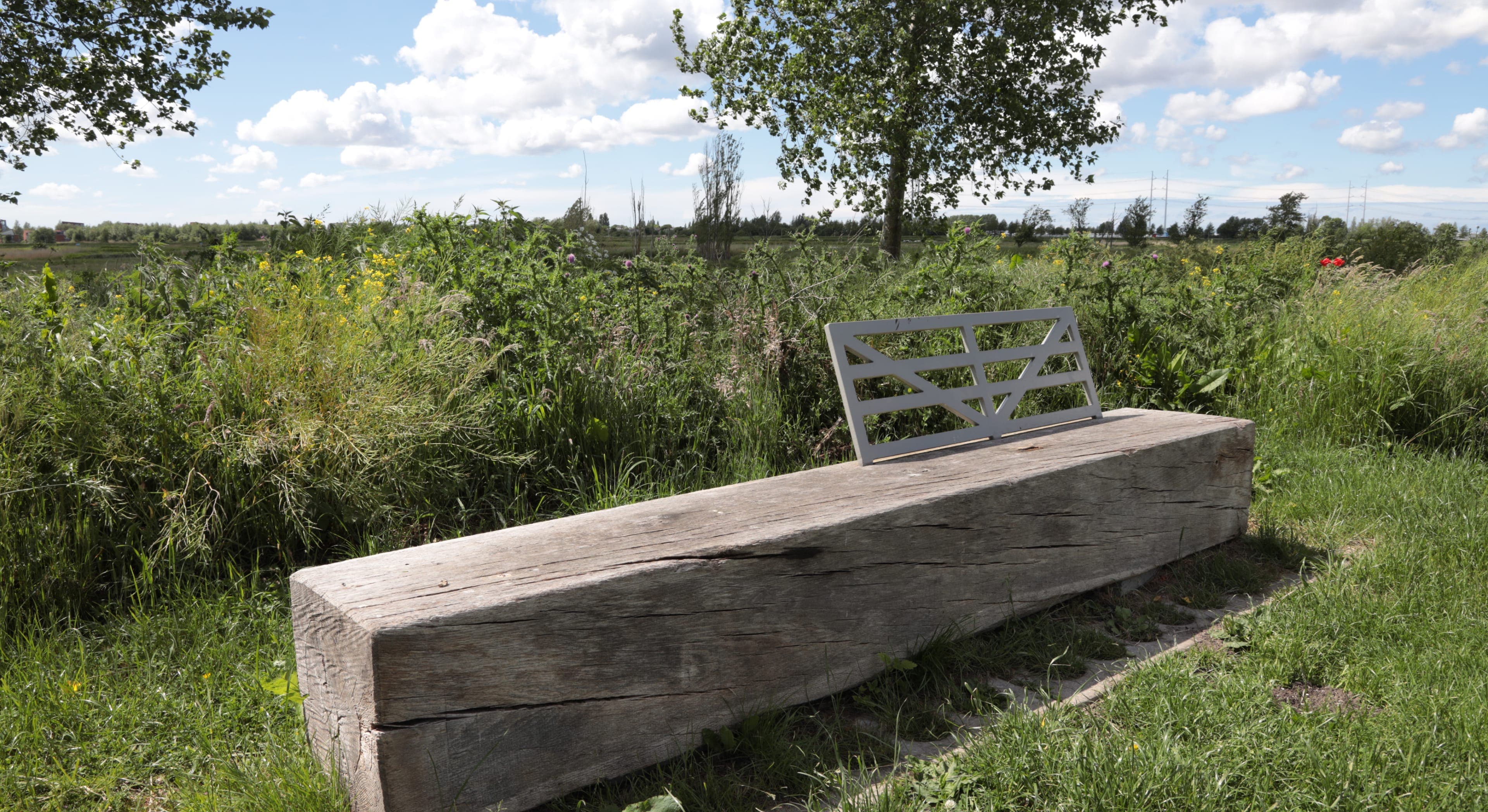 Een langwerpig blok hout met een metalen rugsteun, zodat het gebruikt kan worden als bankje. Midden in de natuur.